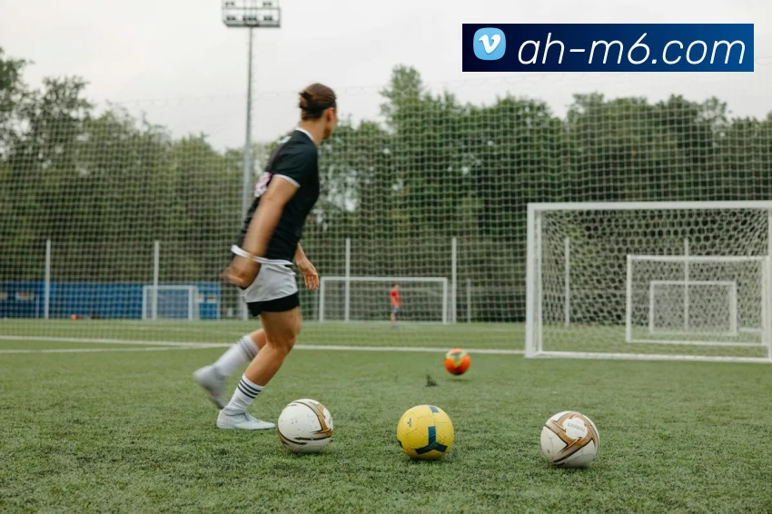 M6体育注册APP 封面图